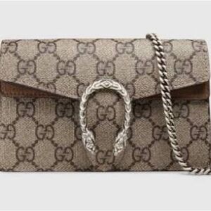 Gucci Beige and Brown Crossbody Bag with Silver Chain